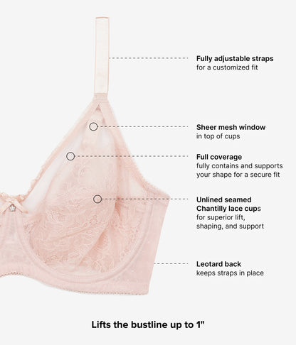 Retro Chic Full Figure Underwire Bra - Rose Dust